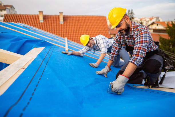 Best Storm Damage Roof Repair  in Walker, LA